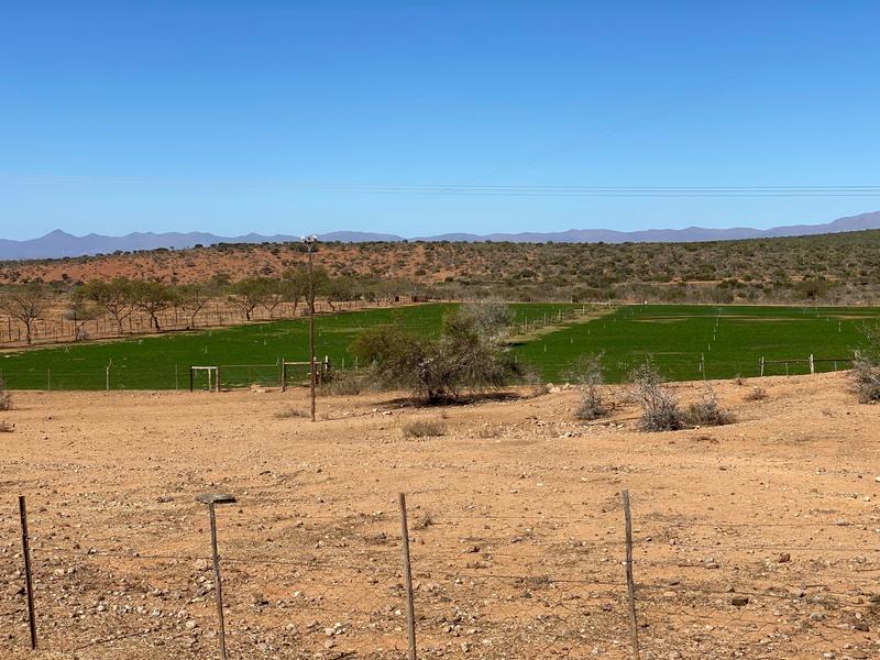 0 Bedroom Property for Sale in Kirkwood Eastern Cape